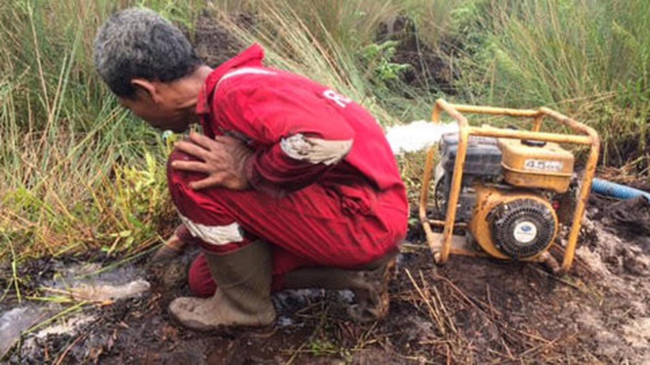 Kisah Gunawan, lelaki Jawa bertaruh nyawa demi Kalimantan