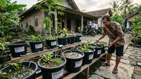 7 Cara Budidaya Belut di Ember untuk Pemula yang Mudah, Peluang Usaha Rumahan