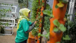 Petugas mengecek kondisi bibit bunga di Balkot Farm yang terletak di Balai Kota DKI Jakarta, Senin (16/9/2019). Dengan adanya Balkot Farm ini, dapat bermanfaat untuk menyerap polutan dan meningkatkan kualitas udara.  (Liputan6.com/Faizal Fanani)