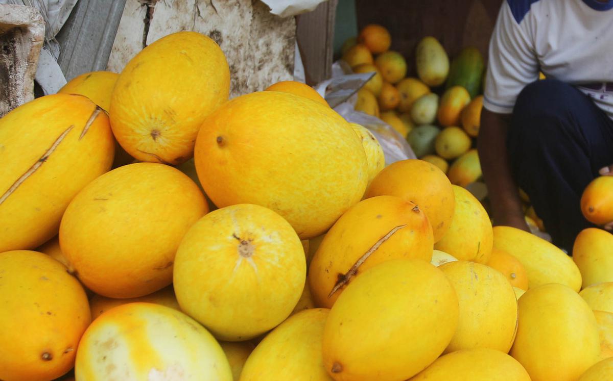 Ramadhan, Permintaan Buah Timun Suri Alami Peningkatan
