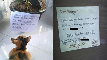 6 Pesan Untuk Kucing Lewat Tulisan Kertas Ini Nyeleneh, Bikin Ngakak