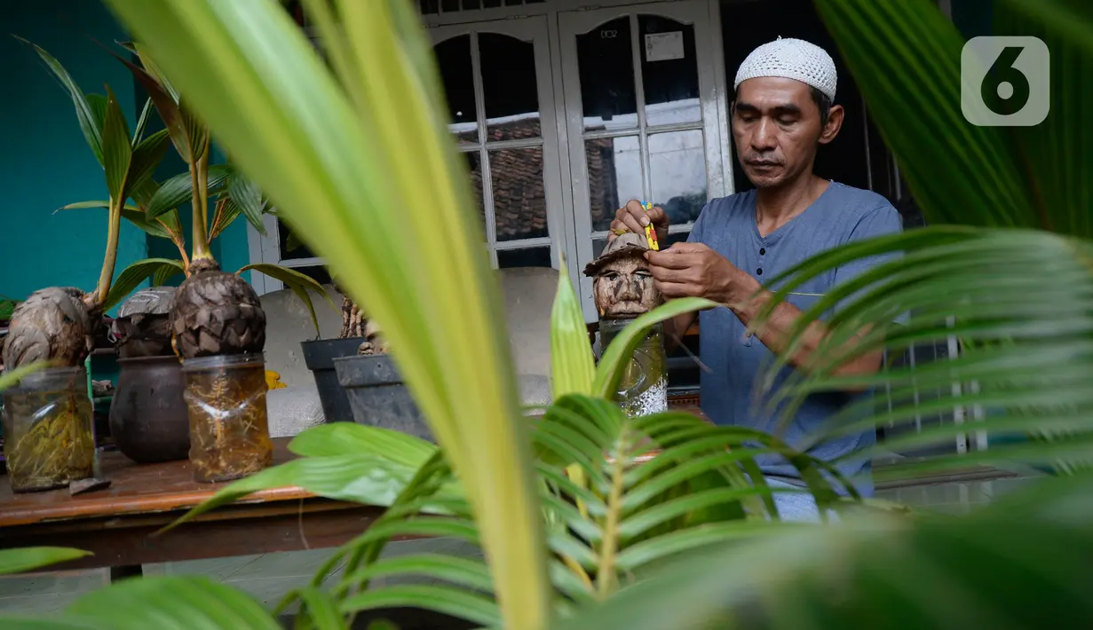Seniman, Herman Ronda (49) mengukir bibit pohon kelapa yang dijadikan bonsai di Pondok Benda Pamulang, Tangerang Selatan, Selasa (13/10/2020). Budidaya bonsai tanaman kelapa semakin digemari untuk memanfaatkan waktu dengan harga mulai dari Rp 250 ribu hingga Rp 500 ribu. (merdeka.com/Dwi Narwoko)
