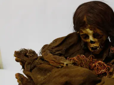 Mumi gadis Inca berusia 500 tahun yang tersimpan di Museum Arkeologi Nasional, La Paz, Bolivia, Kamis (15/8/2019 ). Mumi tersebut telah dikembalikan ke Bolivia sekitar 129 tahun setelah disumbangkan ke Museum Universitas Negeri Michigan pada tahun 1890. (AP Photo/Juan Karita)