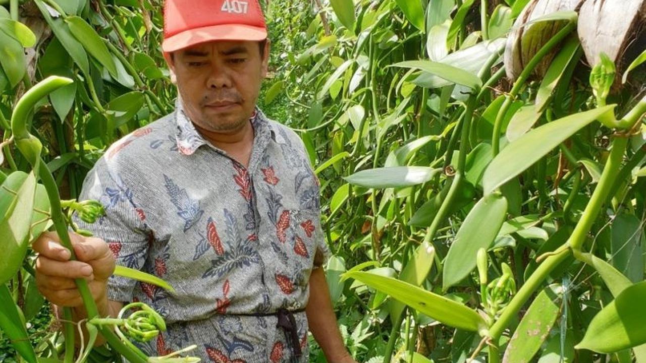 Fakta Unik Emas Hijau Antam: Bidik 93% Energi Terbarukan untuk Produksi Ramah Lingkungan
