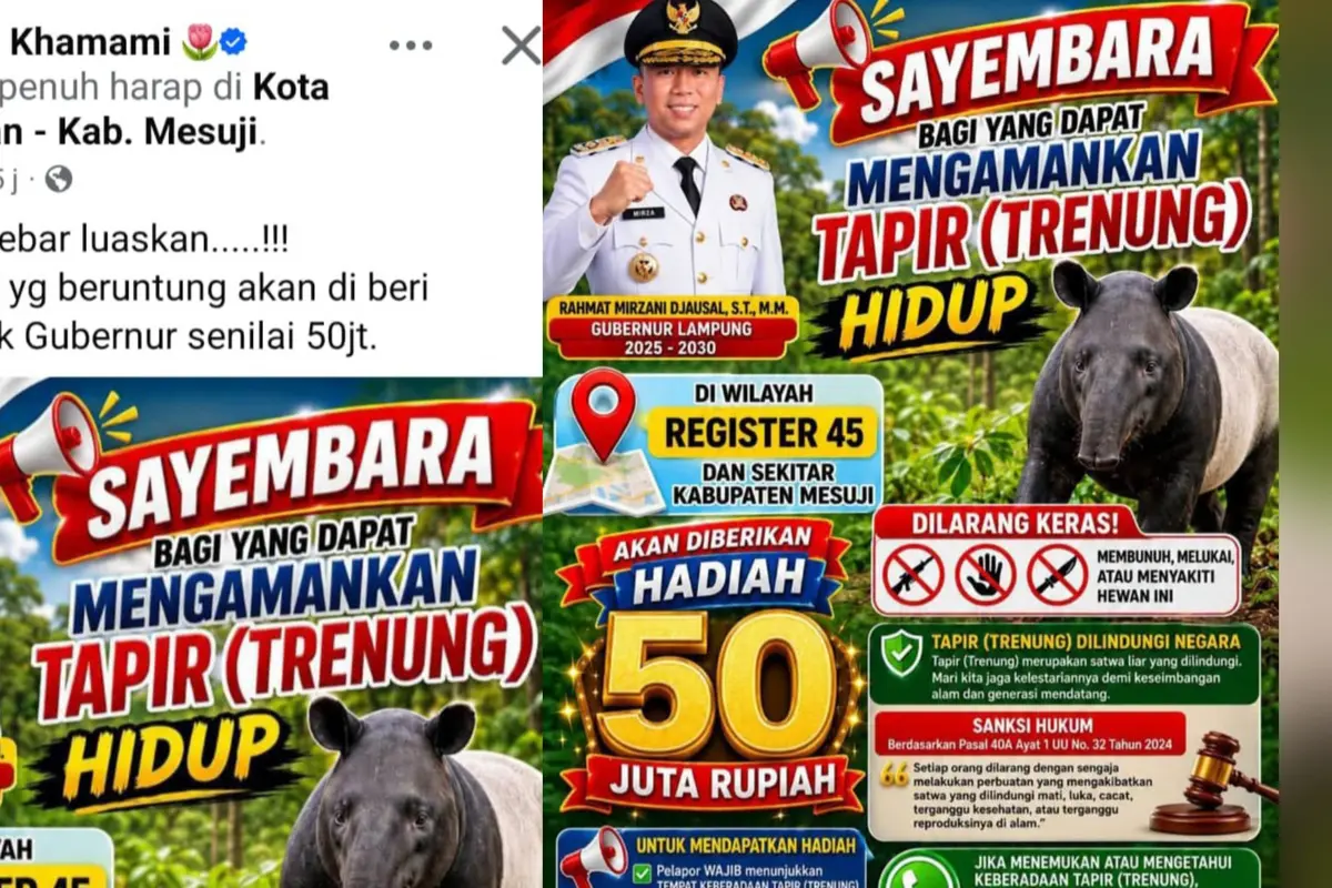 Tangkapan layar sayembara menangkap tapir.