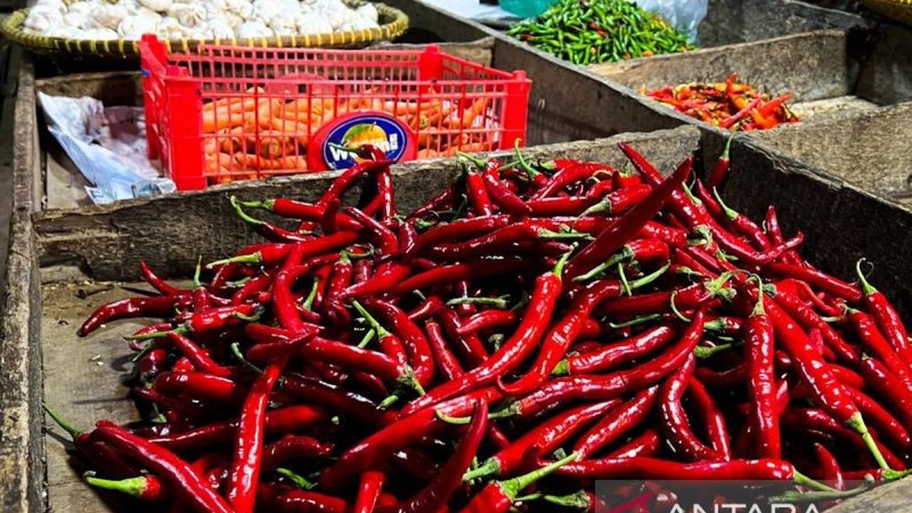 Harga Pangan Nasional Turun Drastis: Cabai Rawit Merah Kini Rp42.548/kg, Bawang Merah Juga Ikut Anjlok