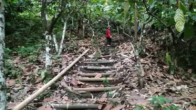Jalan menuju masjid tua yang berada di puncak bukit Tondon Kabupaten Enrekang, Sulsel (Liputan6.com/ Eka Hakim)