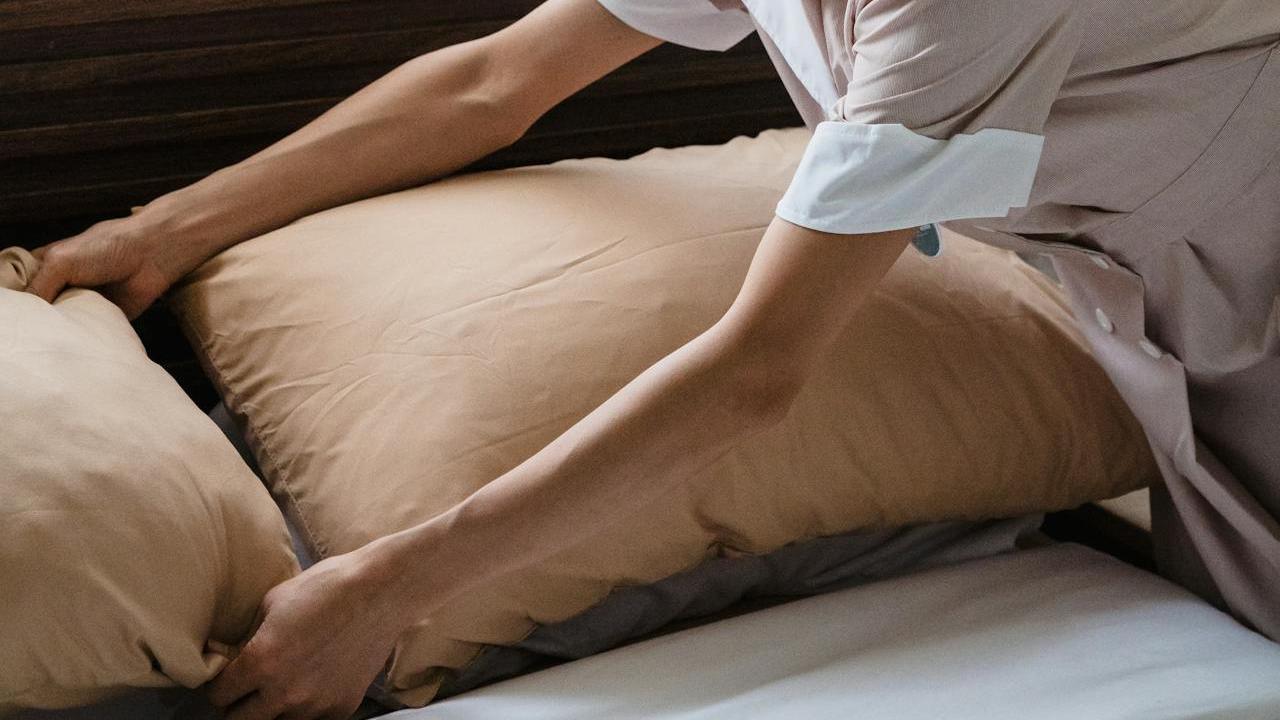 Ilustrasi Sarung Bantal Sutra