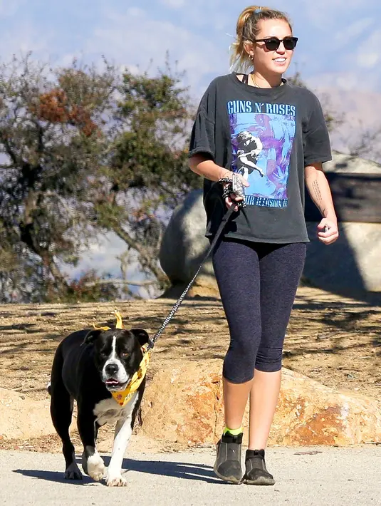 Miley Cyrus sedang mengajak anjingnya, Mary Jane, jalan-jalan di Studio City, California nih! (BACKGRID/USMagazine)