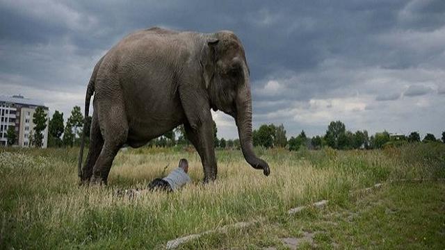 6 Alat Kontrasepsi Bikin Geli dan Menjijikkan