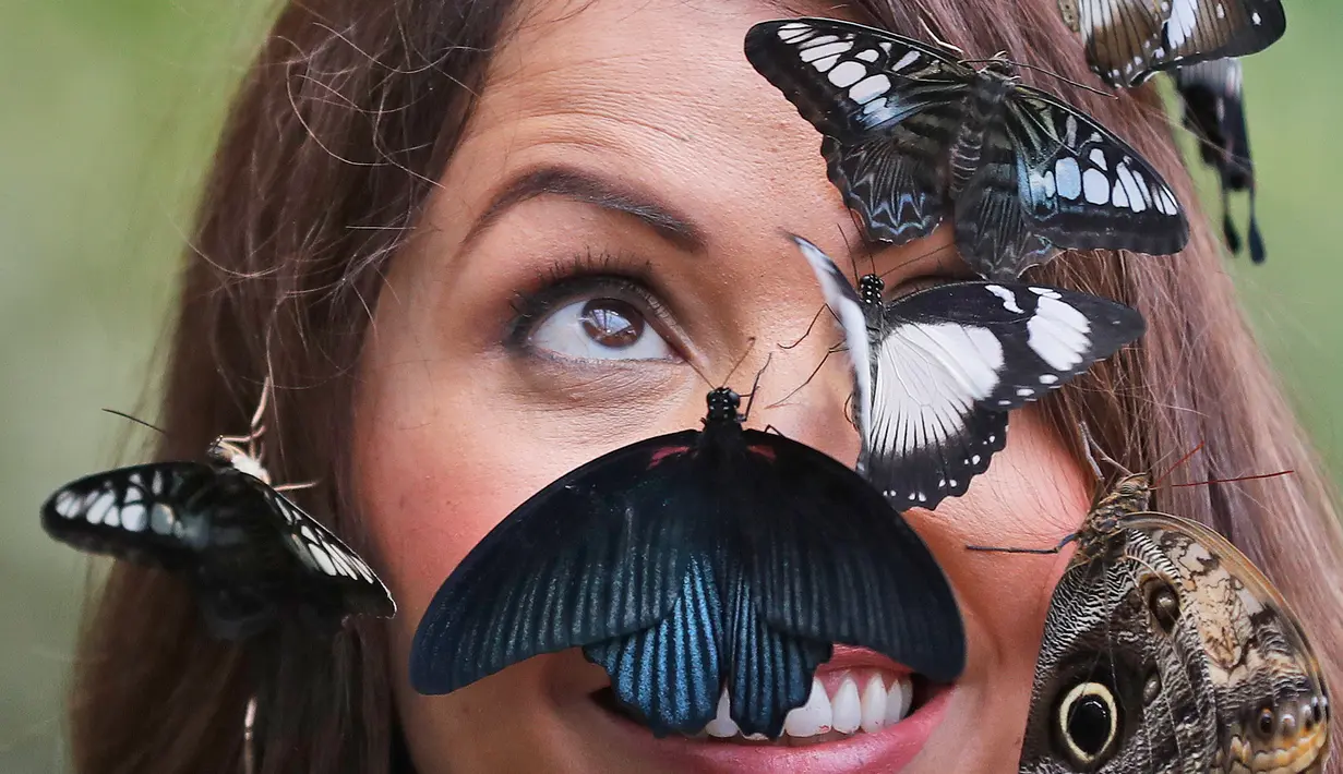 Wajah seorang wanita bernama Jessie dihiasi kupu-kupu saat berpose dalam sesi foto di Wisley Gardens, Inggris (12/1). Lebih dari 50 spesies kupu-kupu eksotis terbang bebas ditempat ini. (AP Photo / Frank Augstein)