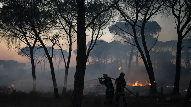 Prancis Dilanda Kebakaran Hutan