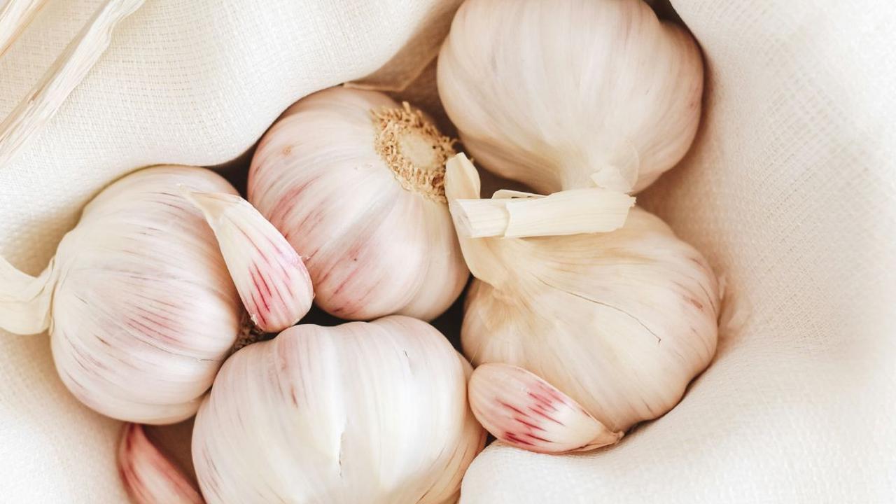 Bawang Putih
