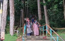 Lima Peziarah Gunung Tidar Tertimpa Pohon, Satu Meninggal Dunia Akibat Angin Kencang