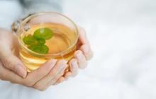 Obat Herbal Alami untuk Menurunkan Kadar Kolesterol Tinggi.