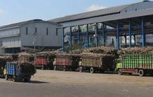 Jalankan Amanat Kementerian BUMN soal Tujuan Pembangunan Berkelanjutan, Ini Dilakukan PTPN III