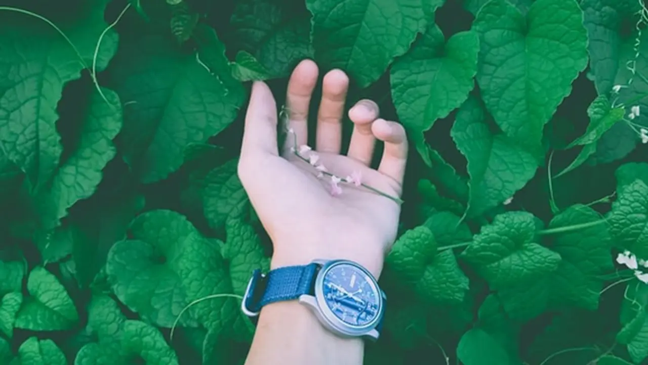 Ilustrasi. | Foto: copyright pexels.com