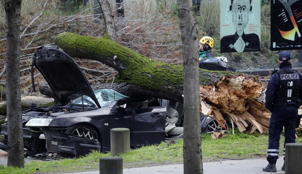 Sebuah mobil yang tertimpa pohon besar di Paris, Kamis (27/2/2020).  Brigade pemadam kebakaran Paris mengatakan telah lebih dari 100 kecelakaan terkait badai di wilayah Paris, ketika hembusan angin dan hujan tiba-tiba menyapu daerah tersebut. (Benoit Moser/BSPP via AP)