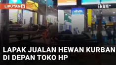 Momen lapak jualan hewan kurban berada di depan toko hp mengundang perhatian
