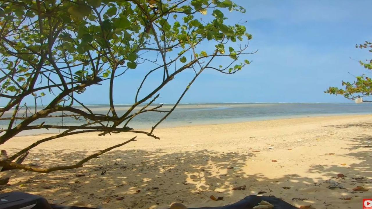 Menyusuri Hutan yang Teduh