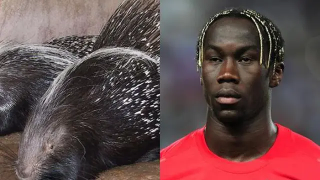 Bacary Sagna