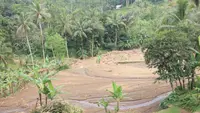 Nestapa Petani Sukabumi, 10 Hektare Sawah Rusak Diterjang Banjir dan Longsor