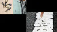6 Fenomena Cuaca Aneh, dari Aurora Hingga Hujan Katak