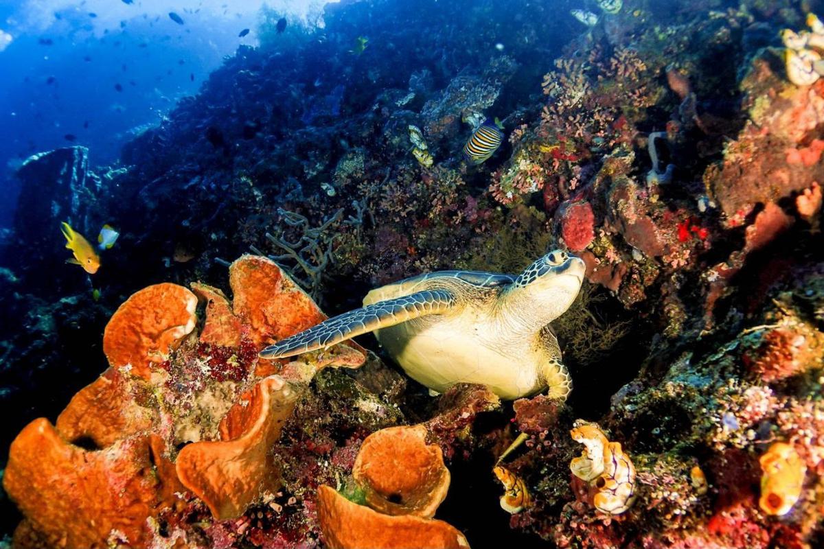 Raja Ampat