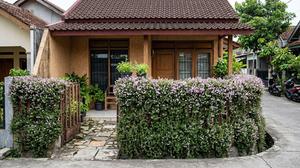 7 Tanaman Pagar Berbunga Sepanjang Tahun yang Mudah Dirawat, Cocok untuk Rumah Minimalis