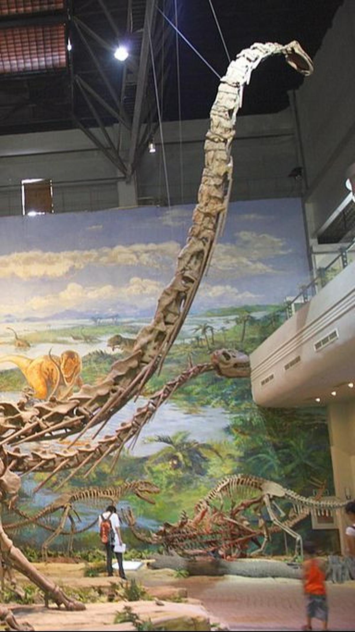 4. Evolusi Raksasa Dinosaurus yang Terus Terjadi<br>