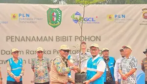 Jaga Lingkungan Pesisir, PLN IP Renewables Dukung Penataan Kawasan Lindung Pantai PLTU Kalbar-1