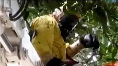 Proses evakuasi ini dilakukan karena keberadaan sarang tawon berdiameter 30 sentimeter ini sudah meresahkan warga.