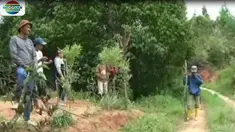Jasadnya ditemukan warga di sekitar kebun kopi pada Jumat petang. Korban dikenali keluarga berdasarkan pakaian yang terakhir dikenakan korban.