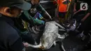 Warga bersiap memotong hewan kurban di kawasan Kramat Pulo Gang 18 RT 1 RW 8, Jakarta, Minggu (10/7/2022). Panitia Majelis Taklim Al Iman memotong tiga sapi untuk kemudian dibagikan kepada fakir miskin sebagai bentuk rasa syukur atas rizki dari Allah pada perayaan Hari Raya Idul Adha 1443 H. (Liputan6.com/Faizal Fanani)