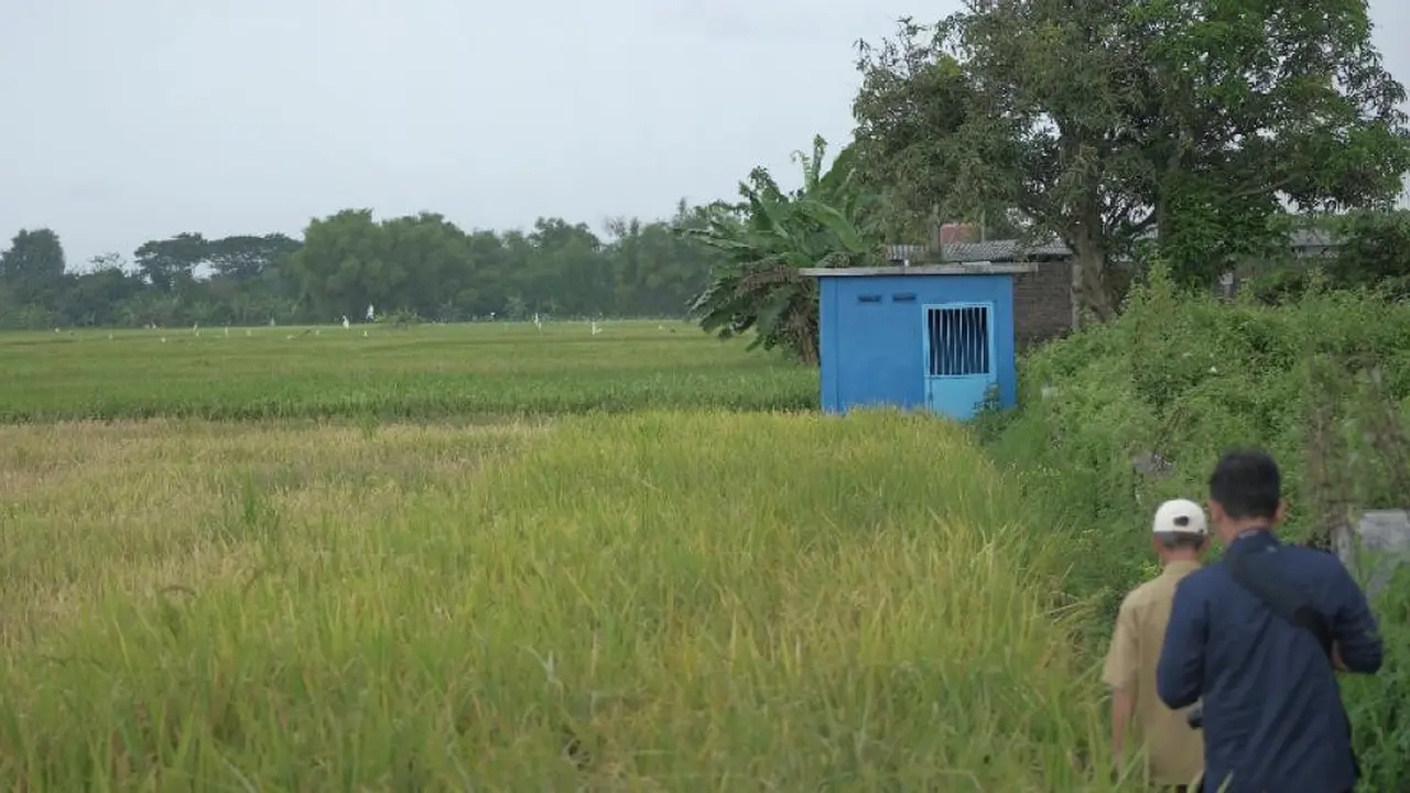 Hadapi Perubahan Iklim, Kementan Bedakan Penanganan Daerah Beririgasi dan Tidak