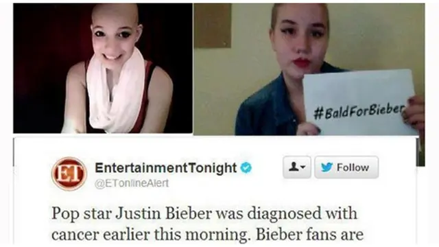 Foto : copyright oddee.com