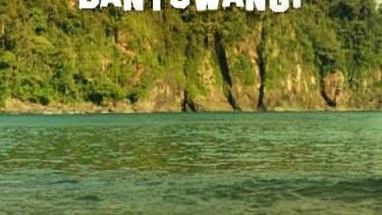 Banyuwangi Jadi Daerah Bebas Korupsi dan Paling Bertanggung Jawab di Indonesia, Ini Fakta di Baliknya