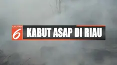 Berdasarkan data Polda Riau, kebakaran lahan mencapai lebih dari 200 hektare.