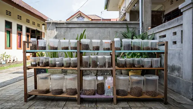 Ide Ternak Minim Bau yang Cocok untuk Lingkungan Perumahan (Foto: Reve.com)