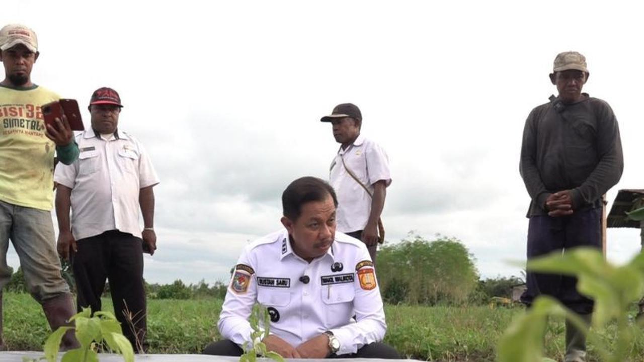 Pemkot Jayapura Gandeng Unhas, Perkuat Ketahanan Pangan Daerah Lewat Pertanian dan Perikanan