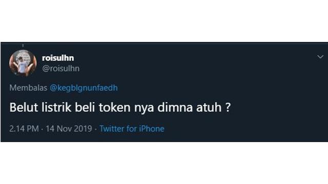 7 Pertanyaan Nyeleneh Tentang Belut Listrik ala Netizen Ini Bikin Mikir