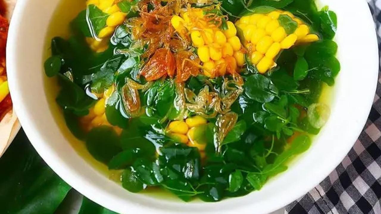 15 Manfaat Teh Daun Kelor, Rahasia Kesehatan dari 'Pohon Ajaib' untuk Tubuh Bugar