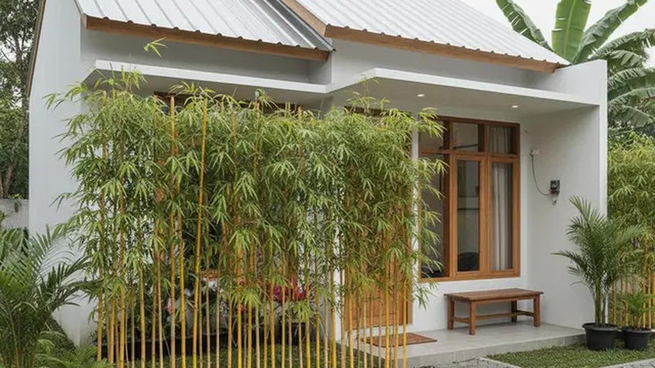 7 Model Rumah Kecil Tapi Luas dengan Pagar Tanaman Hijau, Solusi Hunian Asri dan Nyaman di Lahan Terbatas