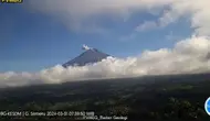 Gunung Semeru kembali erupsi dengan tinggi kolom letusan capai 600 meter (Istimewa)