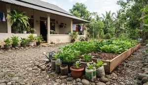 Cara Menyulap Sudut Pekarangan Berbatu Menjadi Kebun Sayur, Ini 9 Langkah yang Bisa Dicoba