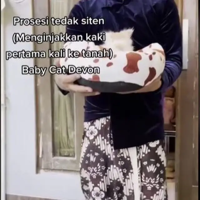 Unik, Acara Tedak Siten Kucing dengan Menu Makanan Lengkap