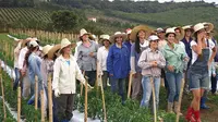 Noiva do Cordeiro dihuni oleh 600 orang penduduk wanita.