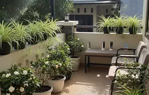 12 Kombinasi Bunga Hias dalam Pot untuk Teras Minimalis, Tampilan Rumah Lebih Asri