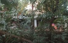 Penampakan Rumah Mewah Ibu Ani Anak Jenderal, Terbengkalai Bak Hutan tapi Masih Dihuni