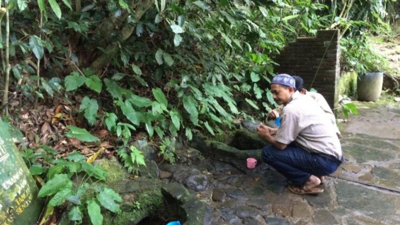 Lokasinya ada di Tengah Hutan
